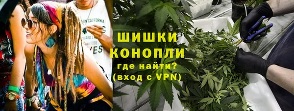 бошки Бородино