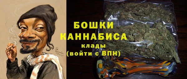 бошки Бородино