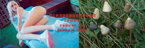 бошки Бородино
