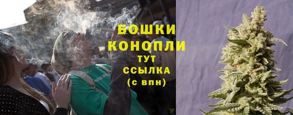 амф Горняк